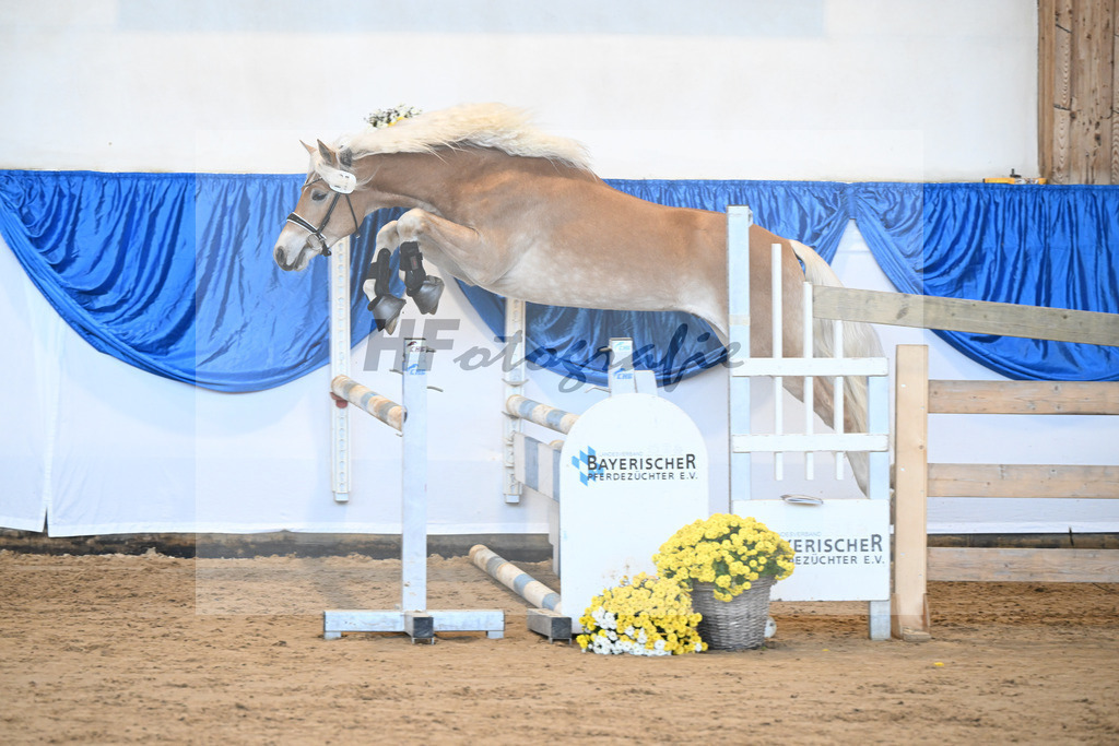 Kat-Nr. 21 nn v. Barion_Stecher_48250424 | hf-fotografie - Realisiert mit Pictrs.com