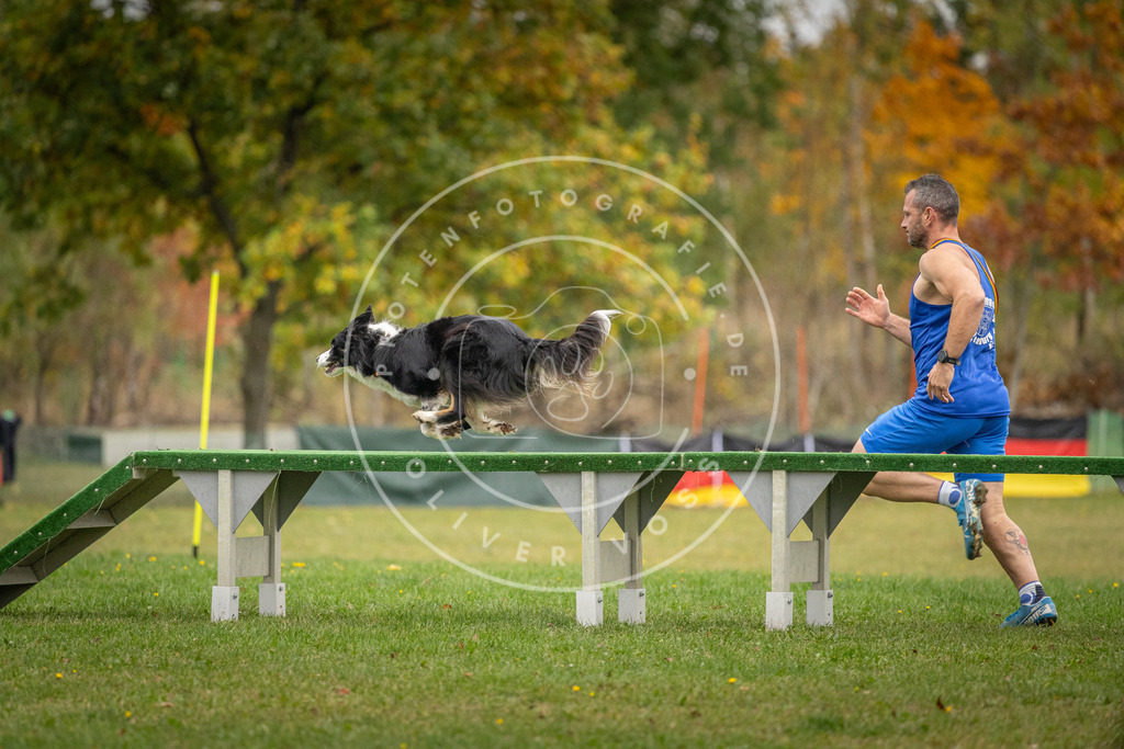 Pfotenfotografie_DV3A9740 | Hundefotografie, Tierfotograf, Pfotenfotografie, Fotoshooting Hund, Hunde Portrait, Hundesport, Hundeportraits, Heideshooting, Hunde, Sportfotograf, Hundefotograf, Turnierhundsport, THS,  - Realisiert mit Pictrs.com