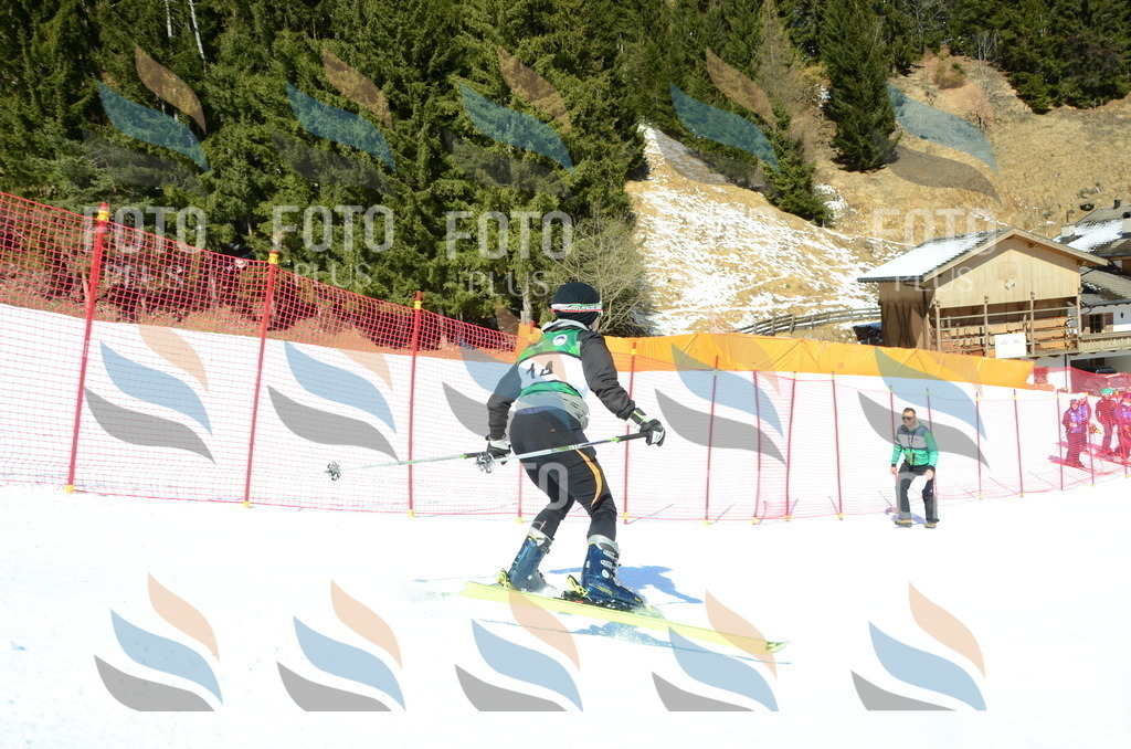 C6781 | holidayphoto