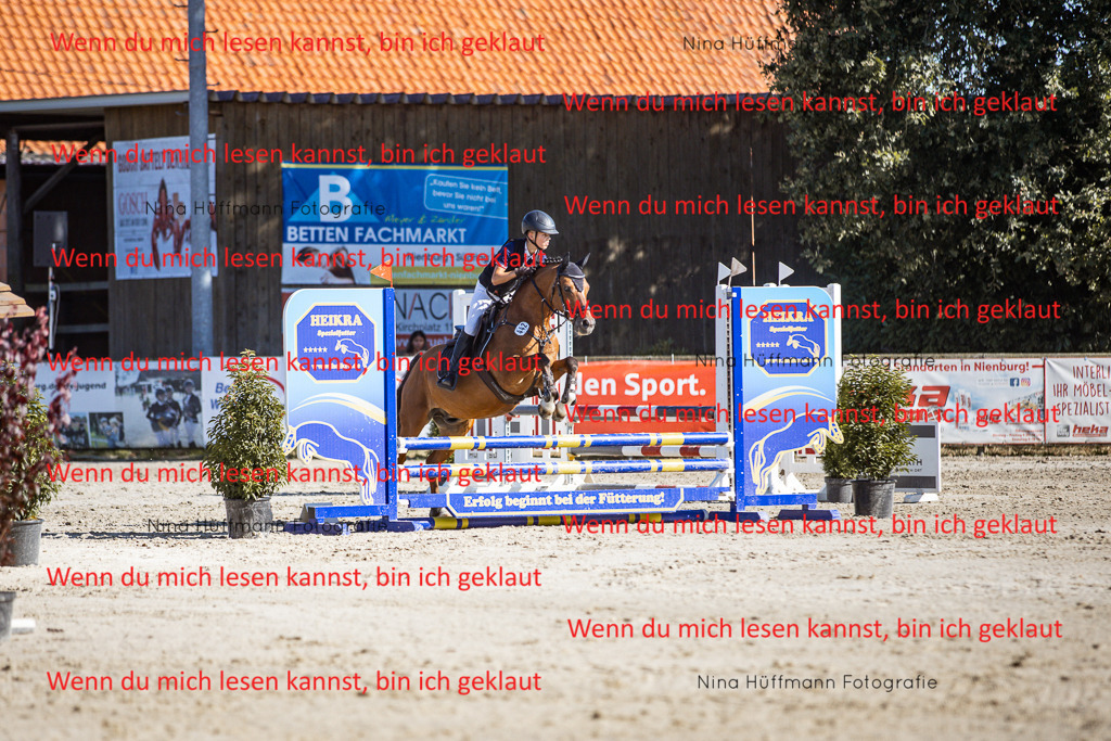 BK1A8048 | Turnierbilder Turnierfotos Nina Hüffmann Turnierfotografie Pferdefotografie Tierzeichnung Haustierzeichnung Pferdezeichnung Hundezeichnung Videograf  - Realisiert mit Pictrs.com