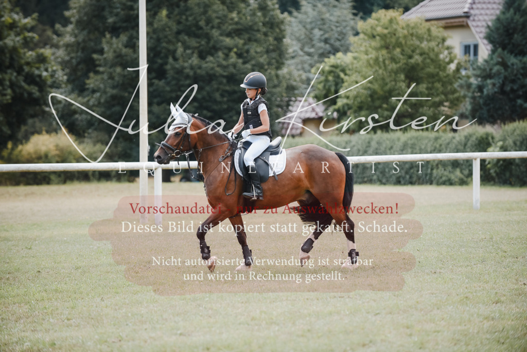 DSC_5477 | Pferde- und Turnierfotografie in Westsachsen. Pferdeportraits, Auftragszeichnungen und intuitive Kunst.
