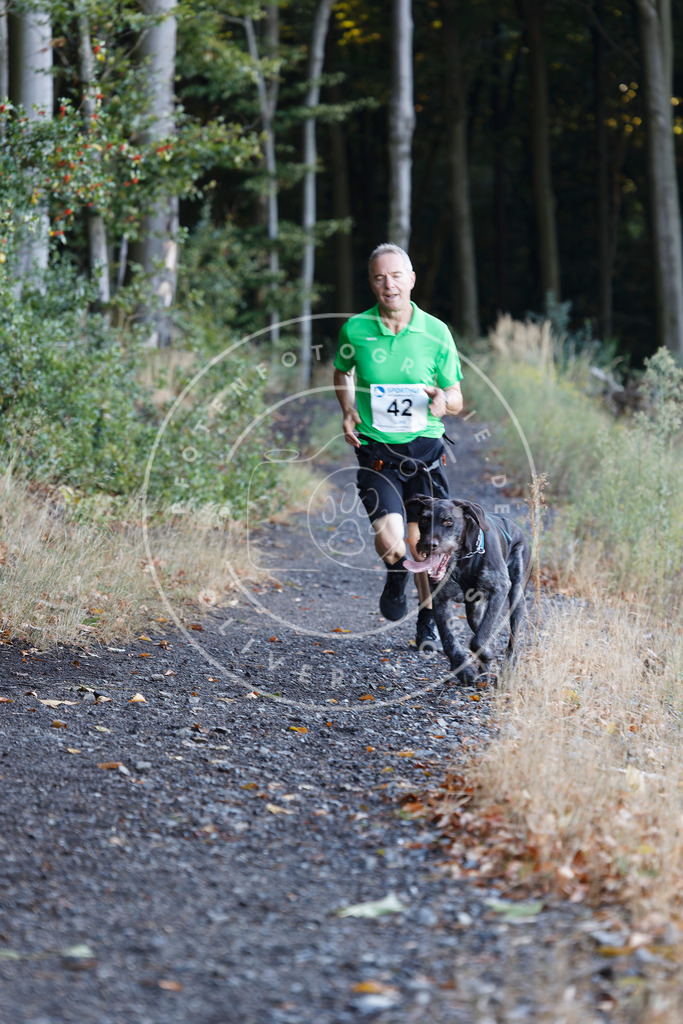 0L8A1681 | Hundefotografie, Tierfotograf, Pfotenfotografie, Fotoshooting Hund, Hunde Portrait, Hundesport, Hundeportraits, Heideshooting, Hunde, Sportfotograf, Hundefotograf, Turnierhundsport, THS,  - Realisiert mit Pictrs.com