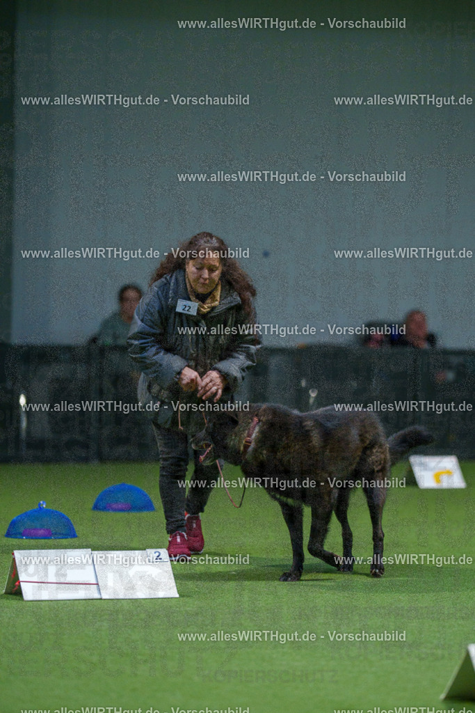 7R500034 | Professionelle Tierfotografie in Mönchengladbach von Daniel Wirth (allesWIRTHgut). Liebevolle & natürliche Bilder von Hunden & Katzen für unvergessliche Erinnerungen.