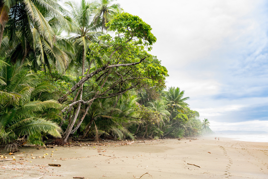 171201-9686 | Hochwertige Fotokunst aus Palm Springs, Santa Monica, New York, Hamburg - sowie atemberaubender Landschaftsfotografie aus Costa Rica, Myanmar und Schottland. - Realisiert mit Pictrs.com