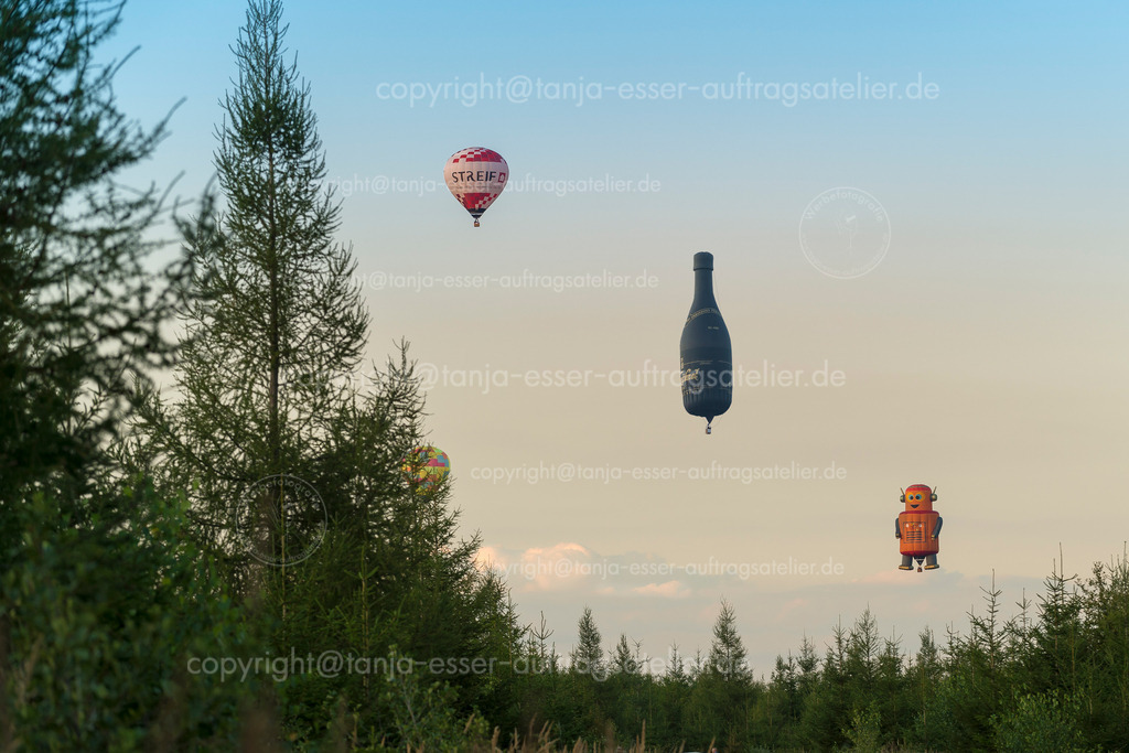 136 Ballons ueber dem Wald 5 | Warsteiner Internationale Montgolfiade ist die Veranstaltung mit Heißluftballons. Verschiedene Ballons fliegen über den Wald. Sonnenuntergang.