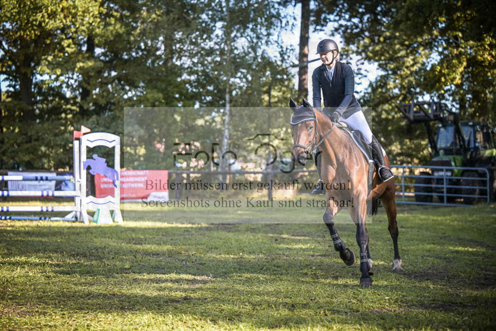 DOS_0890 | Entdecke hochwertige Reitturnierfotos von Foto Oger. Professionell, emotional und authentisch – jetzt Lieblingsmomente im Shop bestellen.Deutschlandweite Turnierfotografie. - Realisiert mit Pictrs.com