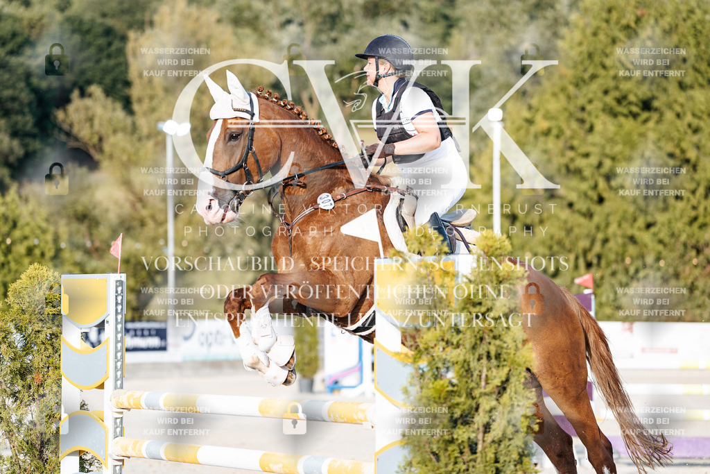 CK900682 | Turnierfotografie Pferdefotografie Trier Rheinland-Pfalz Pferdesport Reitsport Tierfotografie Sportfotografie Pferdevideo Pferdevideografie Equestrianvideography equestrianphotography  - Realisiert mit Pictrs.com