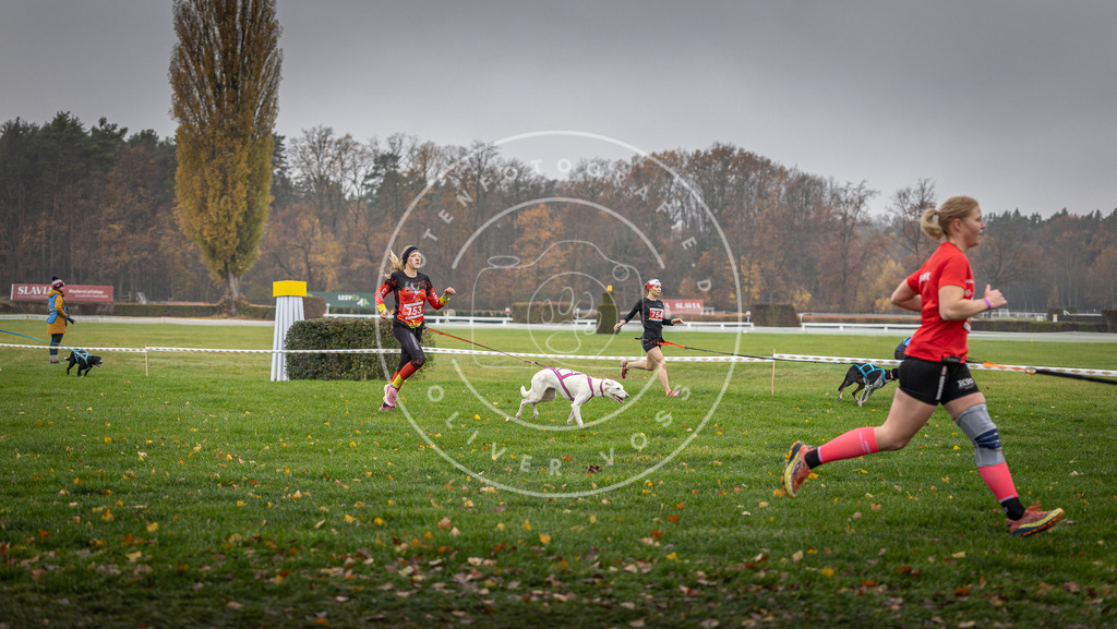 CaniXpix_DV3A8876 | Hundefotografie, Tierfotograf, Pfotenfotografie, Fotoshooting Hund, Hunde Portrait, Hundesport, Hundeportraits, Heideshooting, Hunde, Sportfotograf, Hundefotograf, Turnierhundsport, THS,  - Realisiert mit Pictrs.com