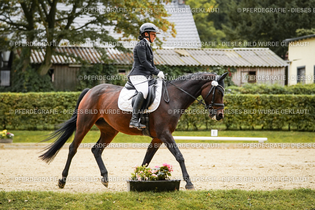 DSC07085 | Pferdegrafie