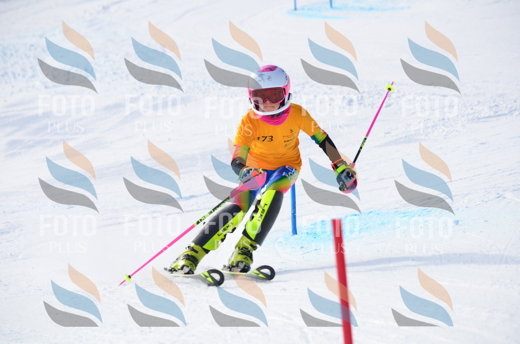 C7925 | holidayphoto