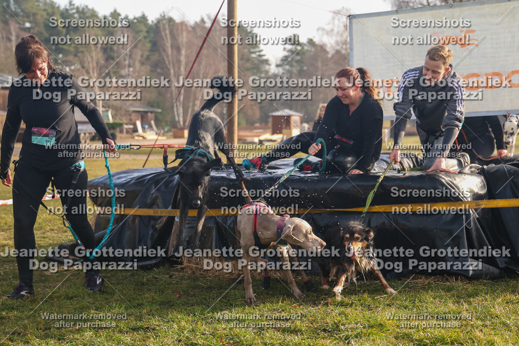 Dog Paparazzi - SD North 0326 900930-245 | Dog Paparazzi Jeanette Grottendiek Fotografie & Videografie - Realisiert mit Pictrs.com