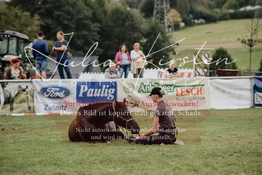 DSC_3952 | Pferde- und Turnierfotografie in Westsachsen. Pferdeportraits, Auftragszeichnungen und intuitive Kunst.