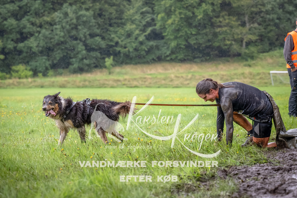 0942_ZZ91603-Bearbeitet | kk-dogfotos