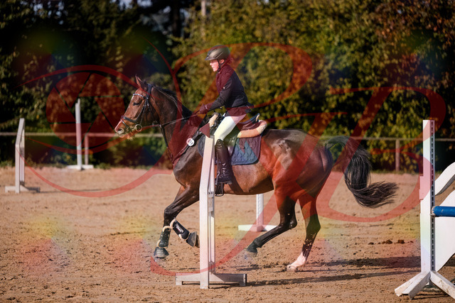 2026_10_03_Siefer-Hof_155935_Z81_79552021 | Professionelle Reitsport-, Turnier- und Eventfotografie von Robert Broda. Galerien mit ausgewählten und bearbeiteten Bildern direkt online ansehen und bestellen.