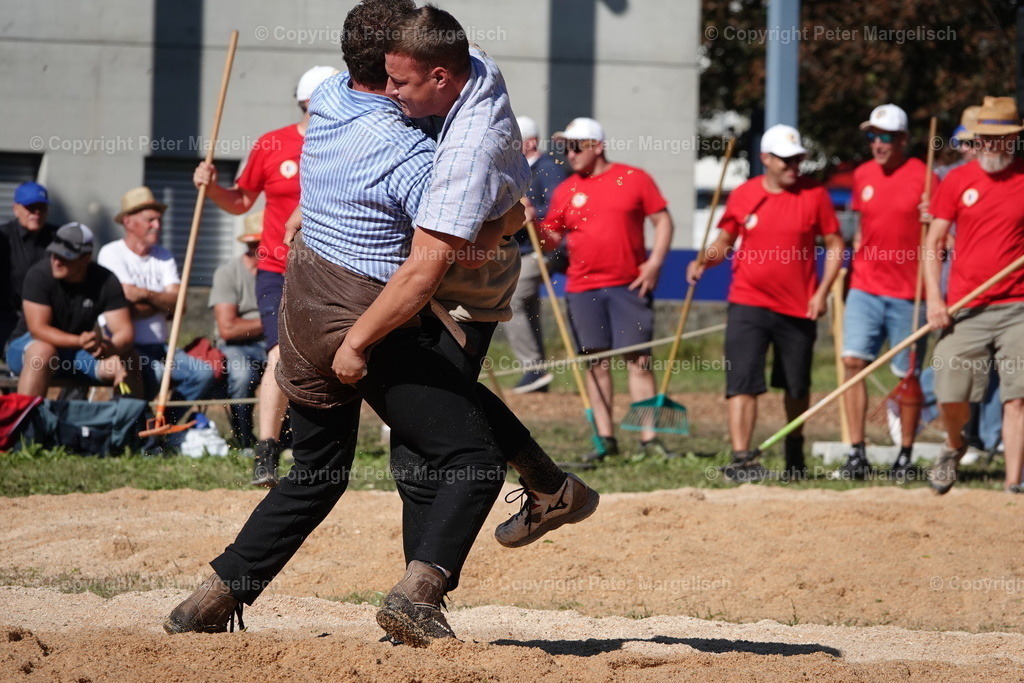 DSC01757 | Schwingen - Realisiert mit Pictrs.com