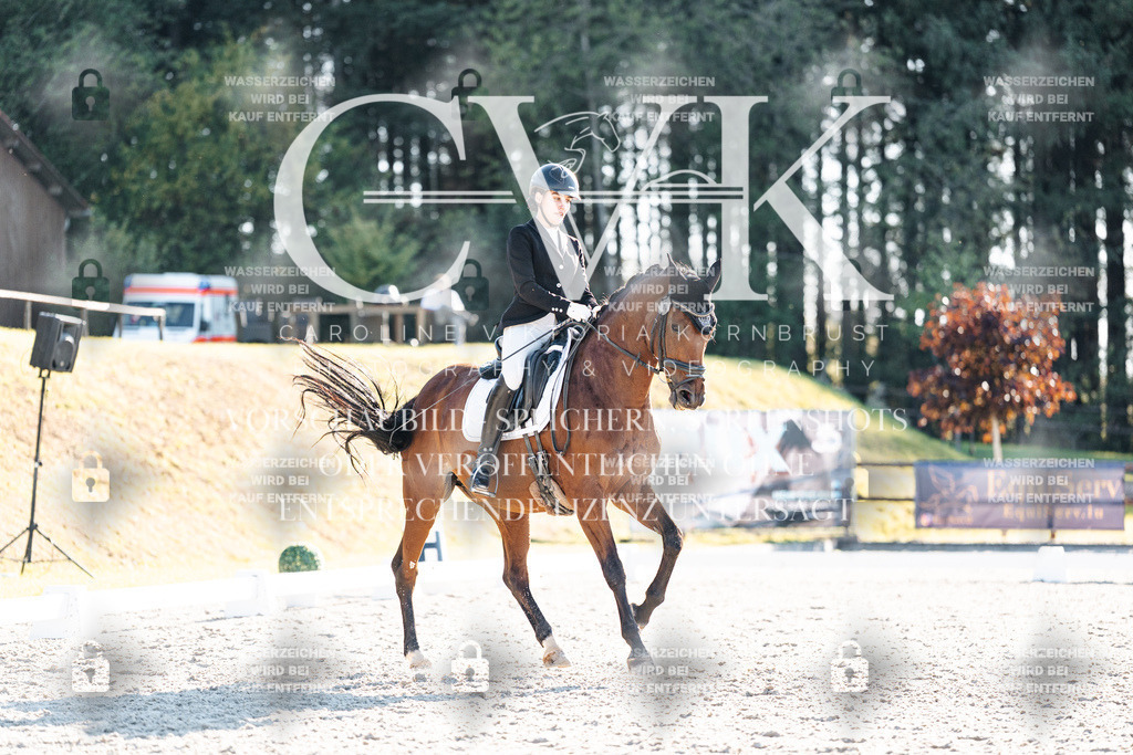CK906794 | Turnierfotografie Pferdefotografie Trier Rheinland-Pfalz Pferdesport Reitsport Tierfotografie Sportfotografie Pferdevideo Pferdevideografie Equestrianvideography equestrianphotography  - Realisiert mit Pictrs.com
