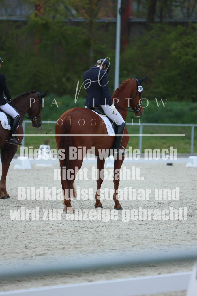 IMGM6070 | pl-fotografie