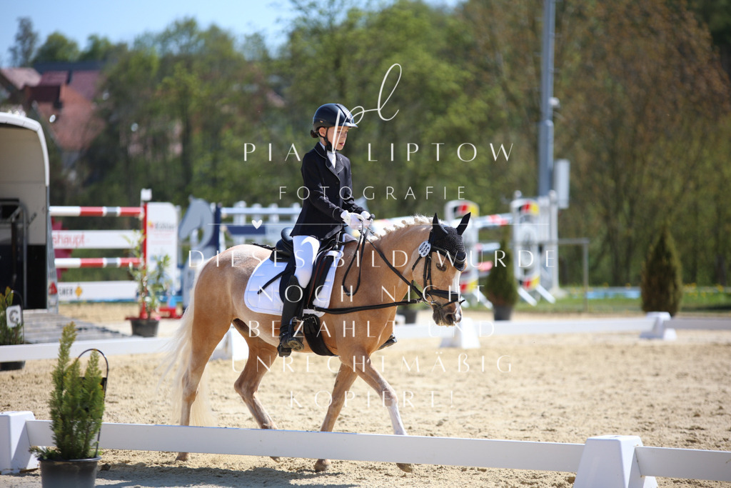 IMGT0680 | pl-fotografie