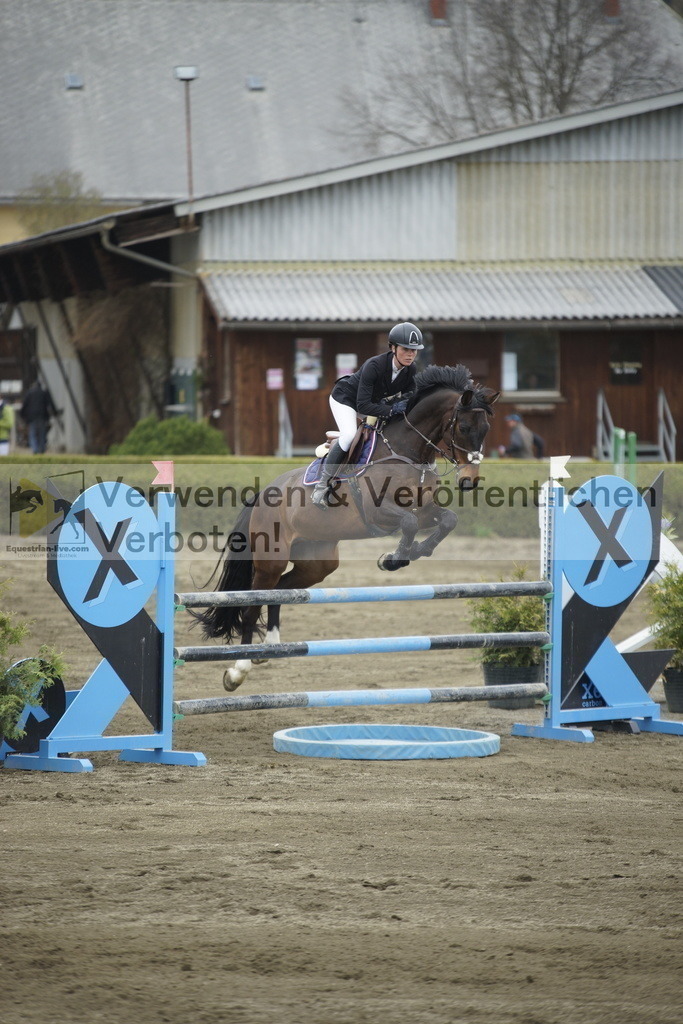 _DSC7373 | equestrian-live-com