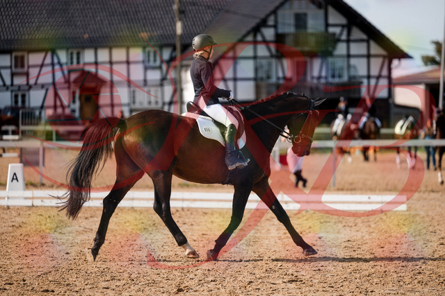 2026_10_03_Siefer-Hof_133433_Z63_92973521 | Professionelle Reitsport-, Turnier- und Eventfotografie von Robert Broda. Galerien mit ausgewählten und bearbeiteten Bildern direkt online ansehen und bestellen.