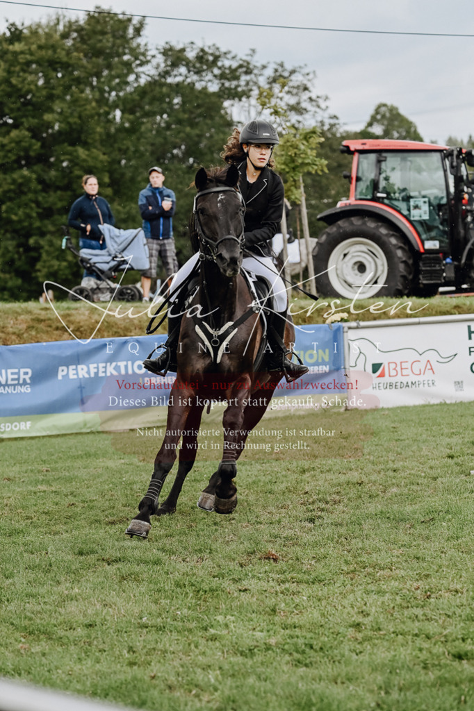 DSC_6834 | Pferde- und Turnierfotografie in Westsachsen. Pferdeportraits, Auftragszeichnungen und intuitive Kunst.