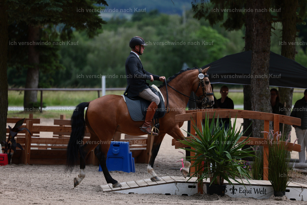 Masterclass_stoibphotography_C2_L6606.JPG | working equitationturnier fotograf videograf stoibphotography marixx film working equitation deutschland reitsport turnierfotografie eventfotografie equestrian events