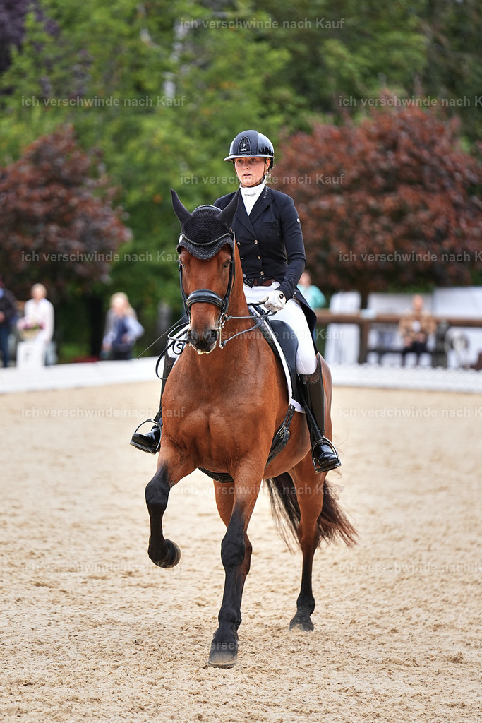 11-189-Dressur S___-Marixx-1787 | working equitationturnier fotograf videograf stoibphotography marixx film working equitation deutschland reitsport turnierfotografie eventfotografie equestrian events