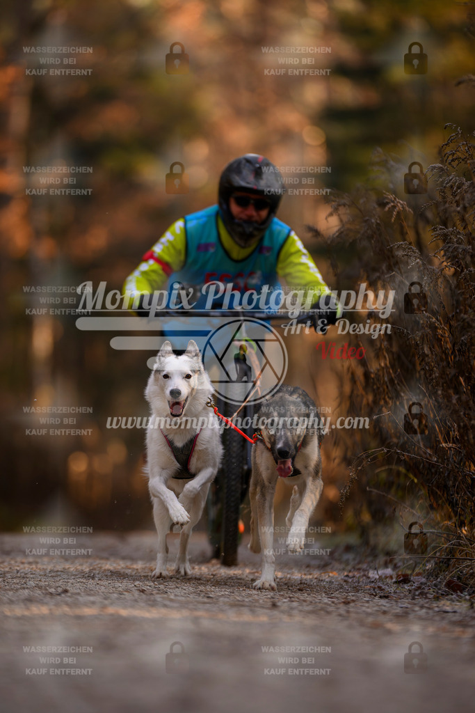 MompixPhotography_DM_AKDM_SO_2025_Scooter-49 | PayLife