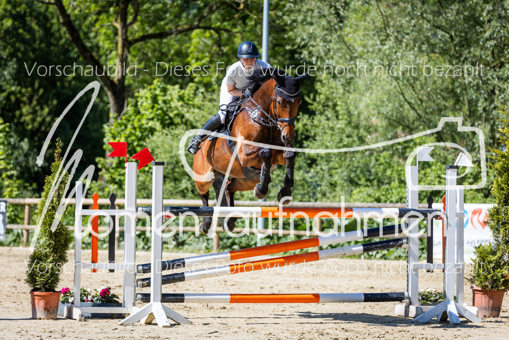 Donop24-M-Spr-072 | MomenTaufnahmen Pferdesportfotos