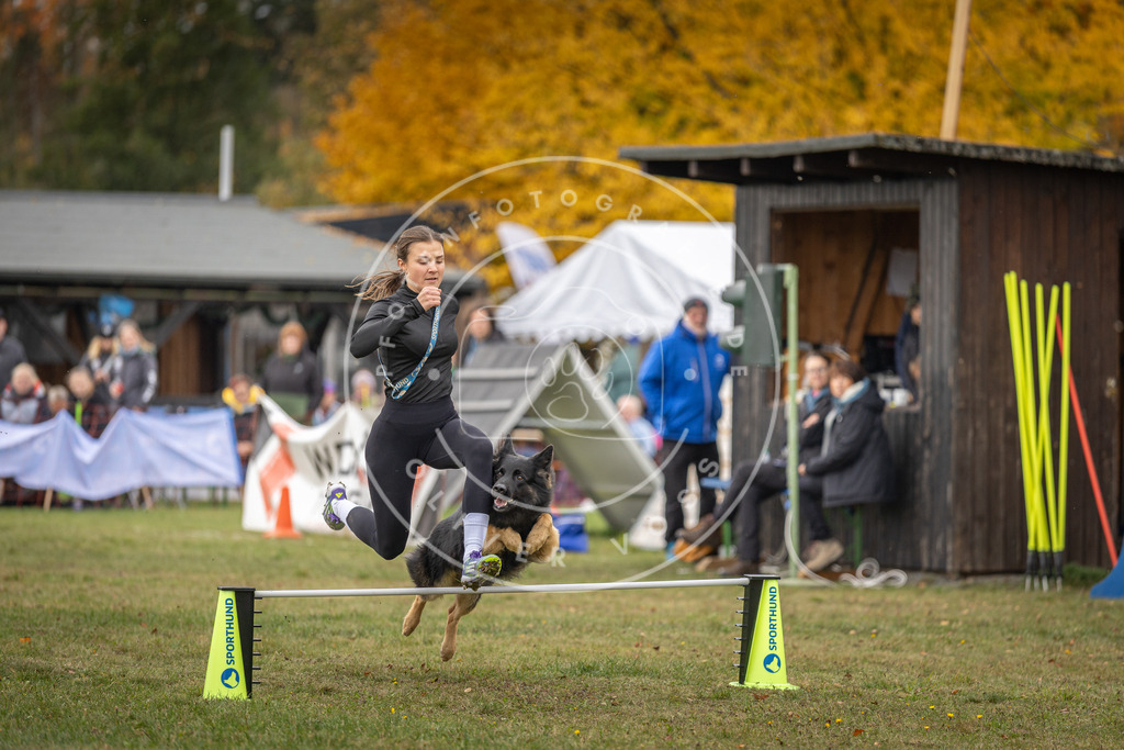 Pfotenfotografie_DV3A7436 | Hundefotografie, Tierfotograf, Pfotenfotografie, Fotoshooting Hund, Hunde Portrait, Hundesport, Hundeportraits, Heideshooting, Hunde, Sportfotograf, Hundefotograf, Turnierhundsport, THS,  - Realisiert mit Pictrs.com