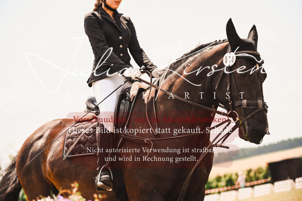 DSC_6221 | Pferde- und Turnierfotografie in Westsachsen. Pferdeportraits, Auftragszeichnungen und intuitive Kunst.