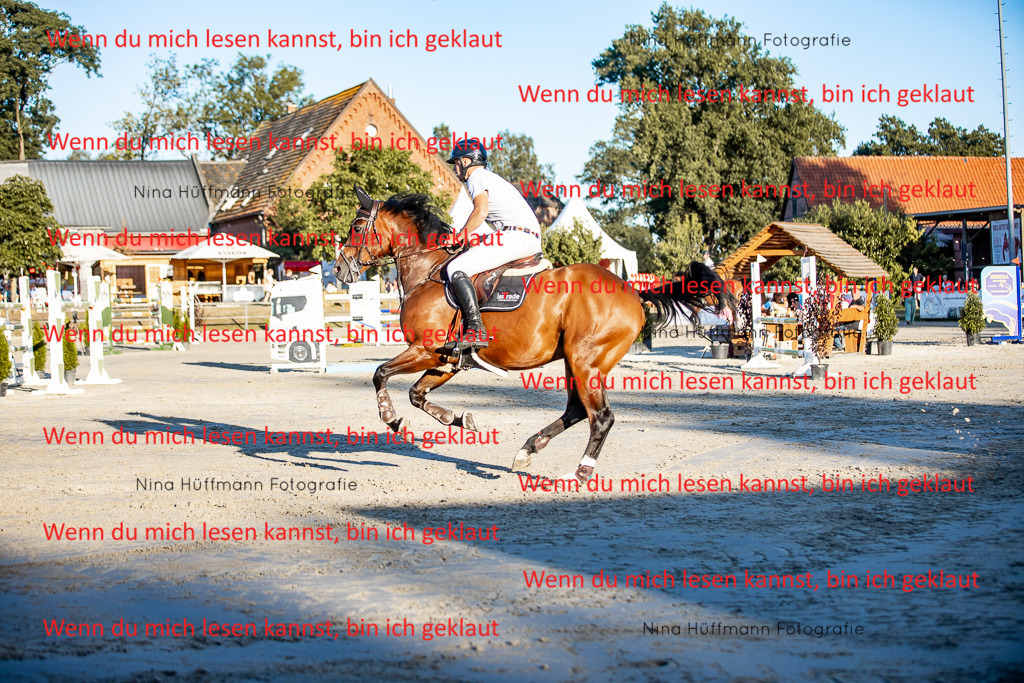 BK1A8524 | Turnierbilder Turnierfotos Nina Hüffmann Turnierfotografie Pferdefotografie Tierzeichnung Haustierzeichnung Pferdezeichnung Hundezeichnung Videograf  - Realisiert mit Pictrs.com