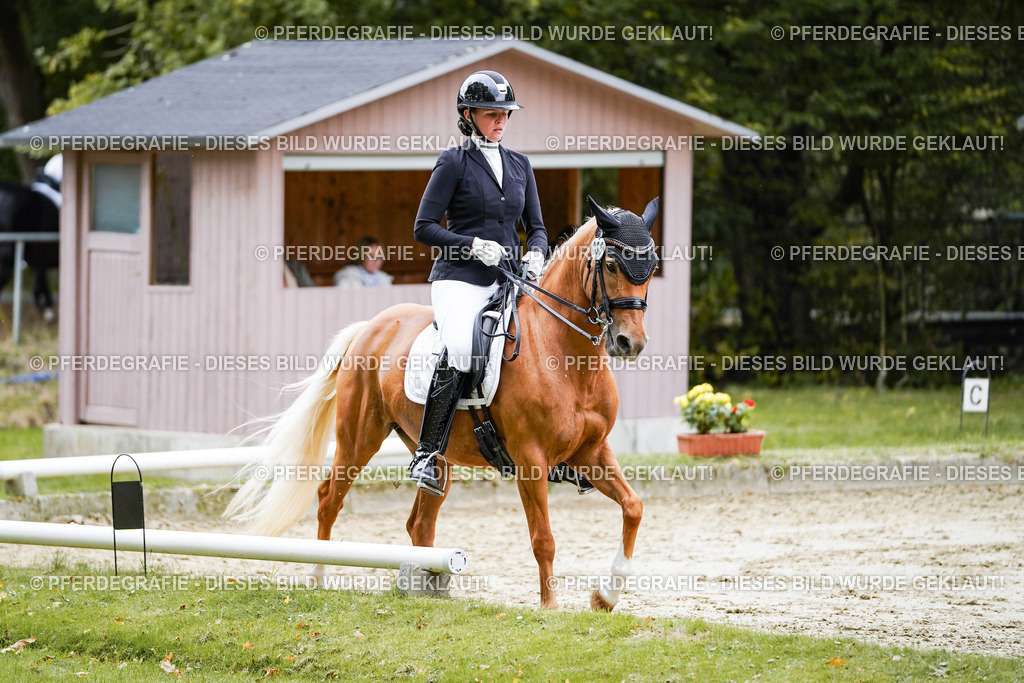 DSC04051 | Pferdegrafie