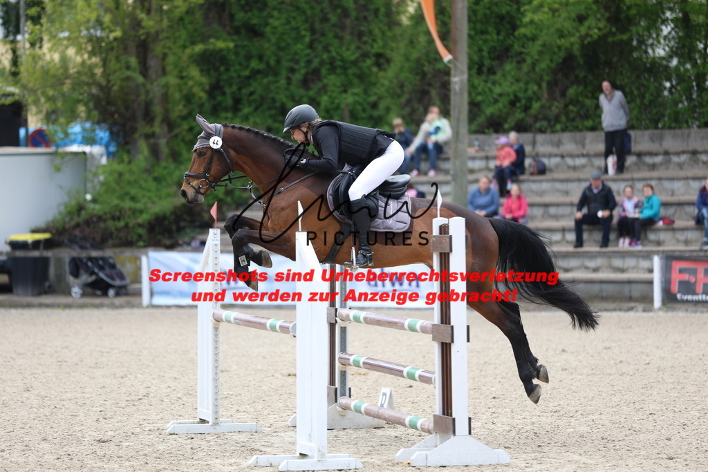 A40A2264 | lmwpictures - Realisiert mit Pictrs.com