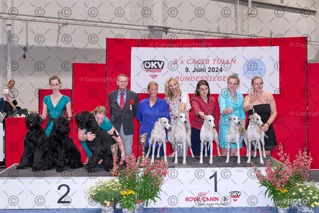 202406_ÖKV-IHA-Tulln24_NZ9_9484 | proPHOTO - Realisiert mit Pictrs.com