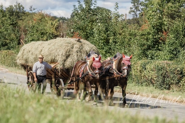 7V6A1801 | natalia-nirschl-photography