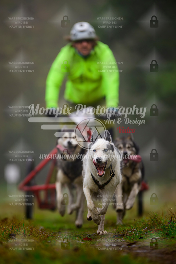 MompixPhotography_Bischwiller2025_Kart-27 | mompixphotography