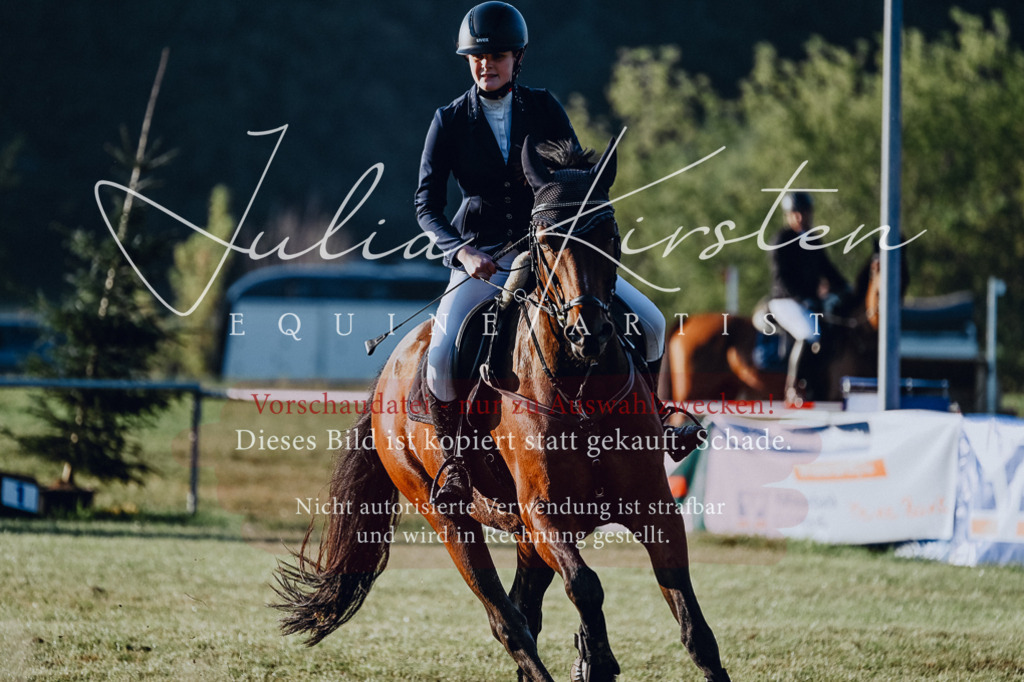 DSC_3977 | Pferde- und Turnierfotografie in Westsachsen. Pferdeportraits, Auftragszeichnungen und intuitive Kunst.