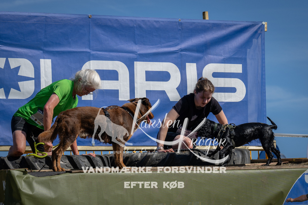 1118_ZZ91175 | kk-dogfotos