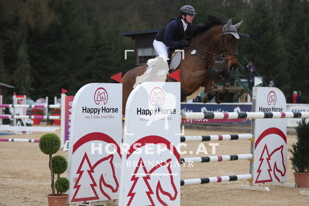 0P6A5555 | Willkommen bei Brunnmayr - Design & Fotografie – Ihrem Spezialisten für Reitturniere und Pferdeveranstaltungen in Oberösterreich, Salzburg und Bayern! Seit über 17 Jahren sind wir leidenschaftlich dabei.