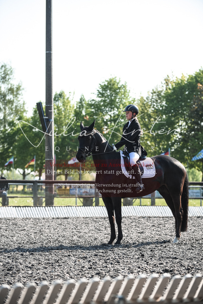 DSC_8359 | Pferde- und Turnierfotografie in Westsachsen. Pferdeportraits, Auftragszeichnungen und intuitive Kunst.