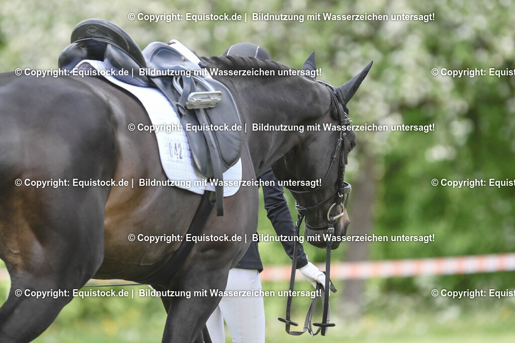 20250516_Impressionen_0083 | Foto: Thomas Hartig