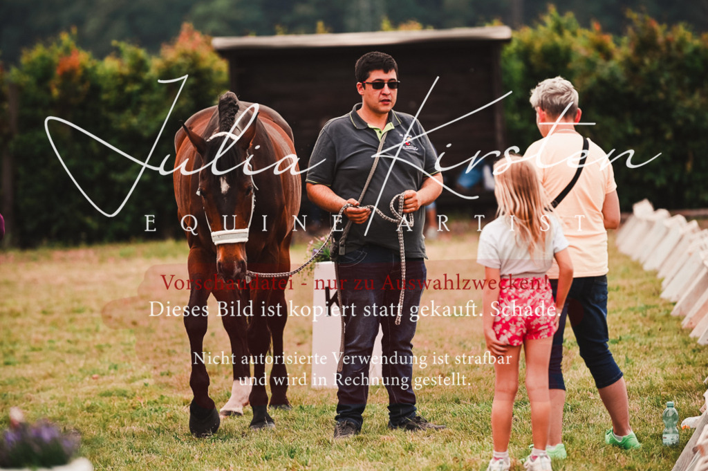 DSC_7028 | Pferde- und Turnierfotografie in Westsachsen. Pferdeportraits, Auftragszeichnungen und intuitive Kunst.