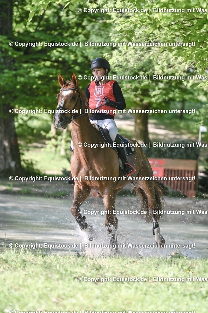 20250517_CCI2_Gelände_0327 | Foto: Thomas Hartig