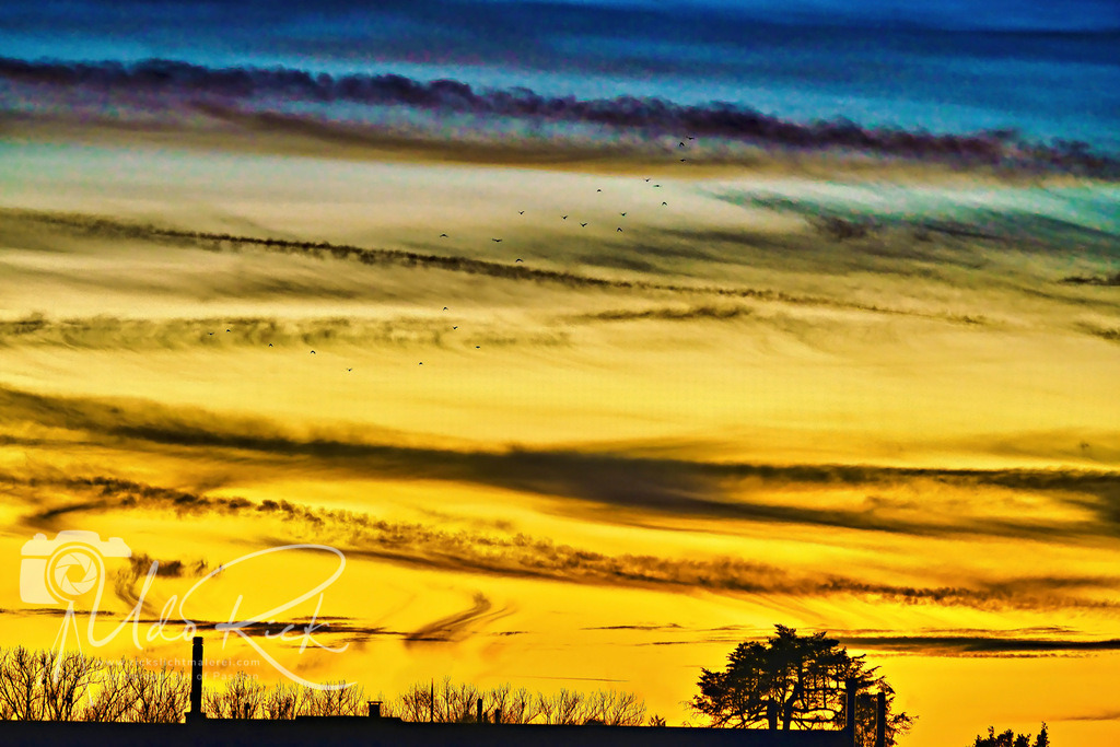 Goldene_Stunde_MDK | Entdecken Sie Fotografie aus Leidenschaft: Auftragsfotografie, HD-Fotos, Geschenkartikel aus Ihren Bildern und vieles mehr. Beauftragen Sie uns für besondere Momente!