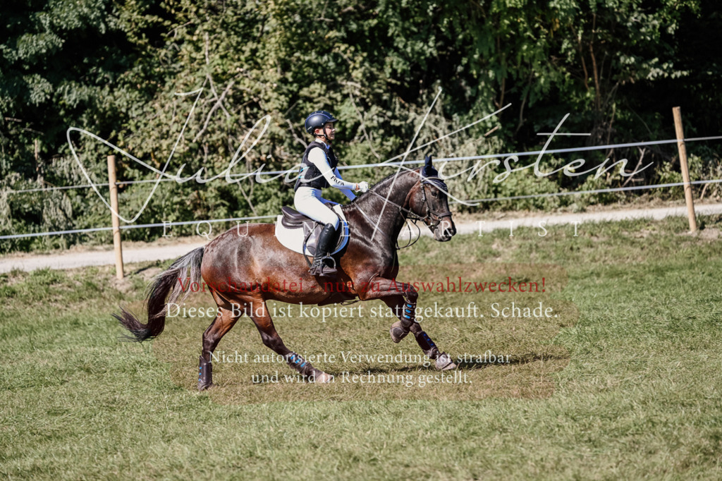 DSC_2787 | Pferde- und Turnierfotografie in Westsachsen. Pferdeportraits, Auftragszeichnungen und intuitive Kunst.