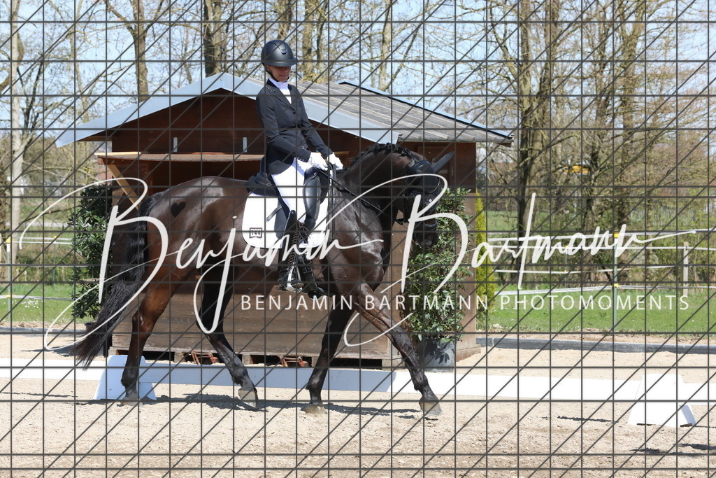 AZ2A4573 | Benjamin Bartmann Photomoments