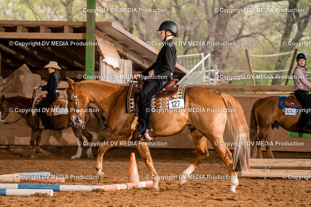 BA300334 | dv-media-shop - Realisiert mit Pictrs.com