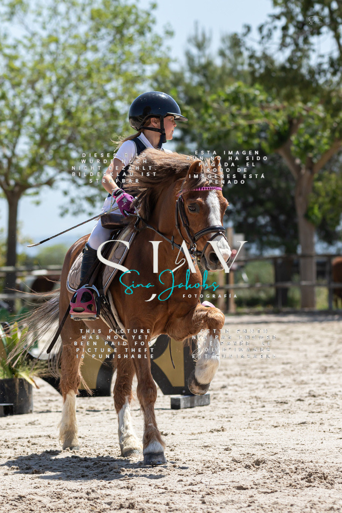 IMG_0178 | s-jay-photography - Realized with Pictrs.com