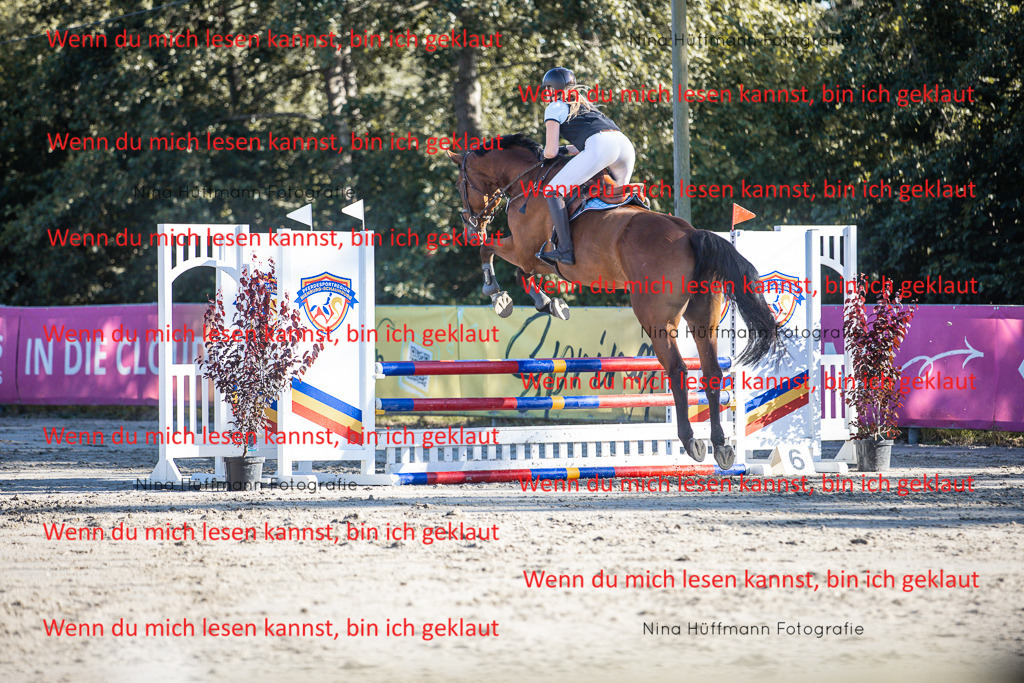 BK1A7601 | Turnierbilder Turnierfotos Nina Hüffmann Turnierfotografie Pferdefotografie Tierzeichnung Haustierzeichnung Pferdezeichnung Hundezeichnung Videograf  - Realisiert mit Pictrs.com